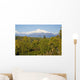 Southside View Of Mt Mckinley, Autumn, Southcentral, Alaska Wall Mural