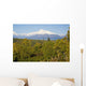 Southside View Of Mt Mckinley, Autumn, Southcentral, Alaska Wall Mural