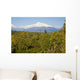 Southside View Of Mt Mckinley, Autumn, Southcentral, Alaska Wall Mural