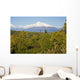 Southside View Of Mt Mckinley, Autumn, Southcentral, Alaska Wall Mural