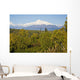 Southside View Of Mt Mckinley, Autumn, Southcentral, Alaska Wall Mural
