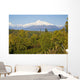 Southside View Of Mt Mckinley, Autumn, Southcentral, Alaska Wall Mural