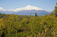 Southside View Of Mt Mckinley, Autumn, Southcentral, Alaska Wall Mural