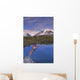 Man Dives into Lake Wall Decal