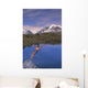 Man Dives into Lake Wall Decal