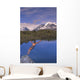 Man Dives into Lake Wall Decal