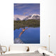 Man Dives into Lake Wall Decal
