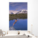 Man Dives into Lake Wall Decal