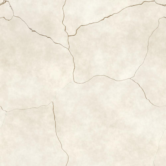 Cracked Plaster or Bone Wall Decal