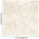 Cracked Plaster or Bone Wall Decal