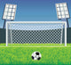 Soccer detailed goal and field. Vector illustration. Wall Mural