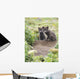 Two Arctic Fox Kits Sitting Near Their Den Wall Mural