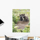 Two Arctic Fox Kits Sitting Near Their Den Wall Mural