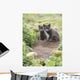 Two Arctic Fox Kits Sitting Near Their Den Wall Mural