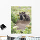 Two Arctic Fox Kits Sitting Near Their Den Wall Mural