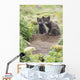 Two Arctic Fox Kits Sitting Near Their Den Wall Mural