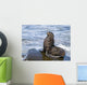 Northern Fur Seal Bull Sunbathes On A Rock In The Bering Sea Wall Mural