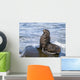 Northern Fur Seal Bull Sunbathes On A Rock In The Bering Sea Wall Mural
