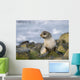 Portrait Of A Juvenile Northern Fur Seal Wall Mural