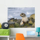 Portrait Of A Juvenile Northern Fur Seal Wall Mural