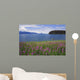 Man Sea Kayaking along Wall Decal