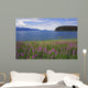 Man Sea Kayaking along Wall Decal