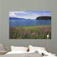 Man Sea Kayaking along Wall Decal