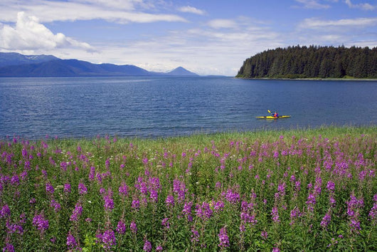 Man Sea Kayaking along Wall Decal