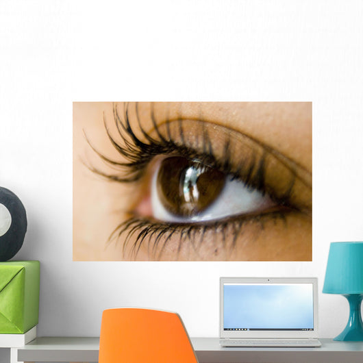 Reflection Eye