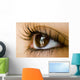 Reflection Eye