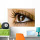 Reflection Eye