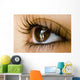 Reflection Eye