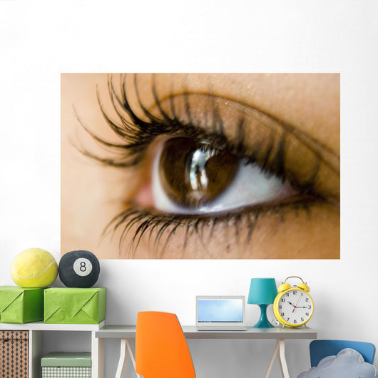 Reflection Eye