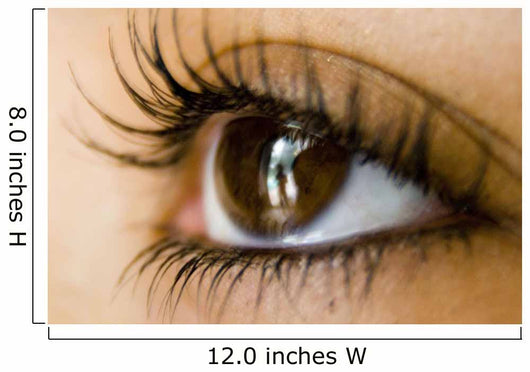 Reflection Eye