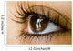 Reflection Eye