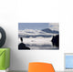 Composite Wall Mural