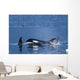 Orca Whales Surface In Lynn Canal In Southeast Alaska's Inside Passage Wall Mural