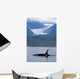 Composite Wall Mural