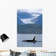 Composite Wall Mural