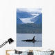 Composite Wall Mural