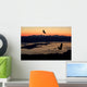 Silhouette Of Bald Eagles Wall Mural