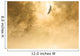 Bald Eagle Soars over Wall Decal