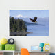 Bald Eagle Wall Mural