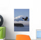 Bald Eagle Wall Mural