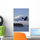 Bald Eagle Wall Mural