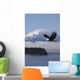 Bald Eagle Wall Mural