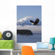 Bald Eagle Wall Mural