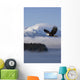 Bald Eagle Wall Mural