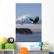Bald Eagle Wall Mural