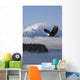 Bald Eagle Wall Mural